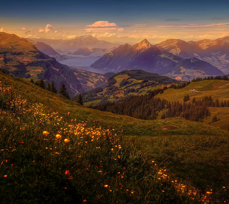 Scenery Sunset, field, flower, grass, mountain, nature, scene, HD wallpaper