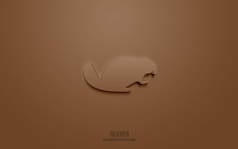 Beaver 3d icon, brown background, 3d symbols, Beaver, creative 3d art, 3d icons, Beaver sign, Animals 3d icons, HD wallpaper