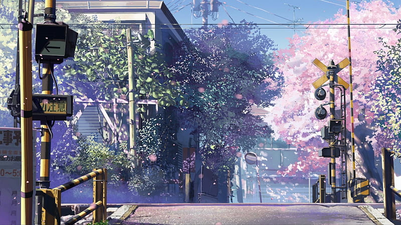 Cherry Blossoms, tono, akari, train, 5 cms per second, HD wallpaper