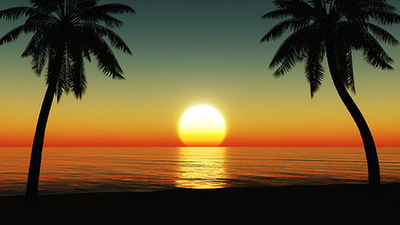 Sunset, Tropical Island, Sun, Evening, Coconut tree, HD wallpaper