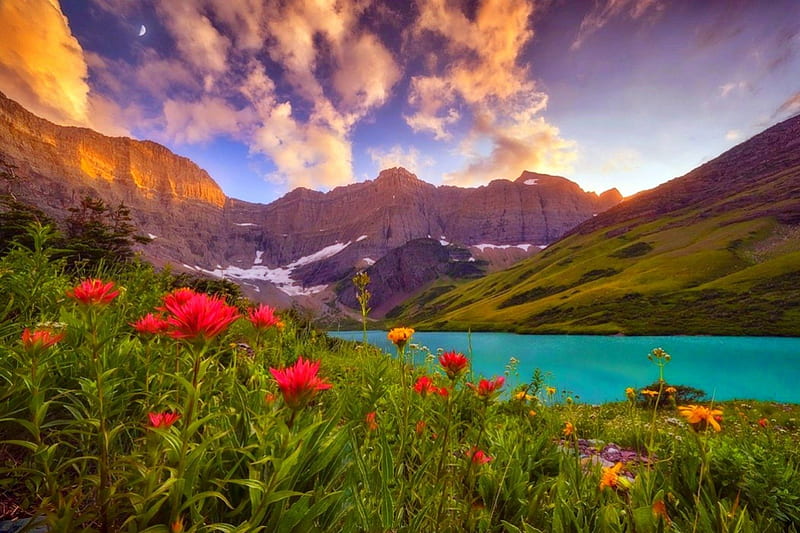 Sunrise At Cracker Lake, Montana, grass, turquoise water, bonito, spring, trees, clouds, lake, Glacier National Park, mountains, flowers, sunrise, HD wallpaper