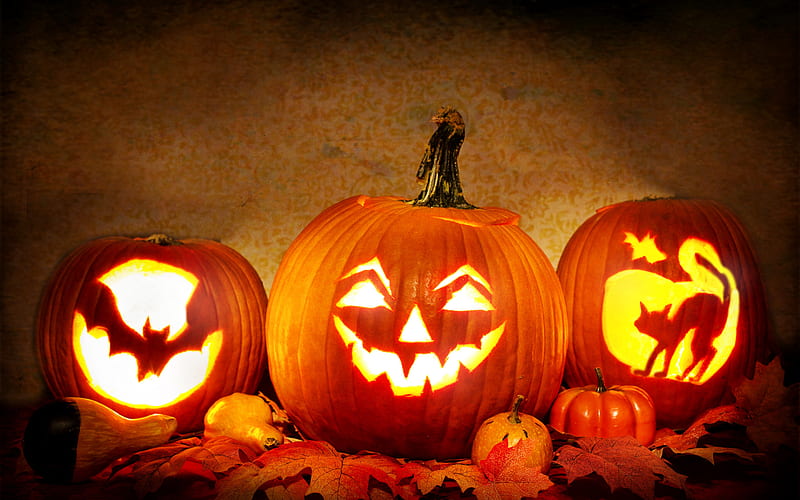 pumpkin, halloween, evening, lights, October 31, autumn, HD wallpaper