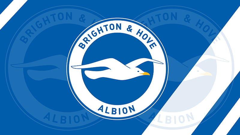Soccer, Brighton & Hove Albion F.C., Logo , Soccer , Emblem, HD wallpaper