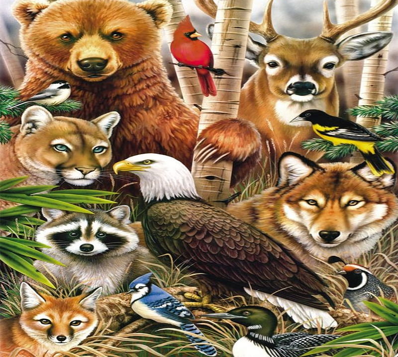 Brown Bear And Animals Friends, Water, Trees, Brown, Mountain Lion, Bear, Deer, Racoon, Birds, HD wallpaper