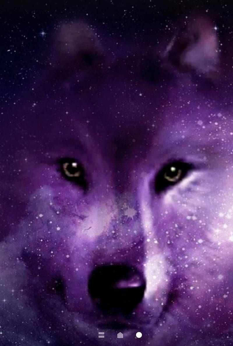 Neon Galaxy Wolf Wallpapers