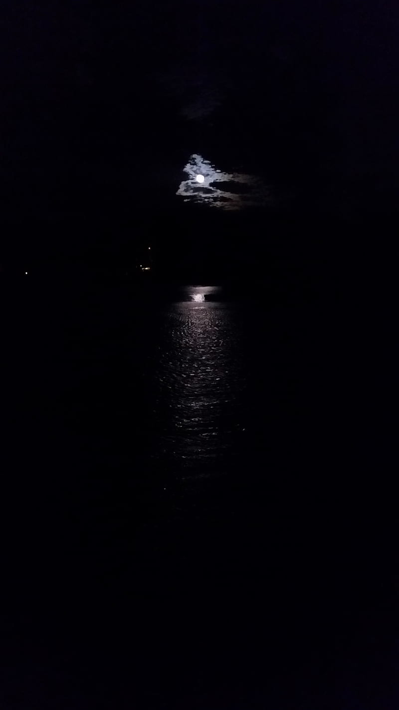 Night sky, bonito, gaze, light, moon, moonlight, nature, night, sky ...