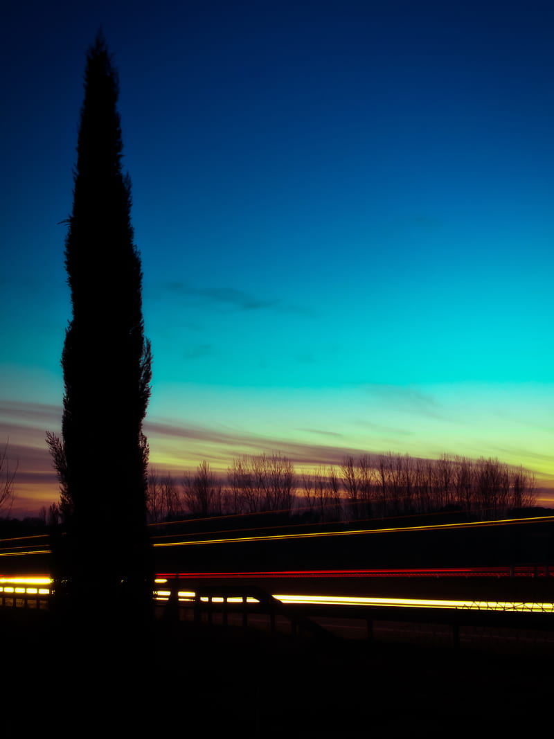 tree, silhouette, night, sky, long exposure, HD phone wallpaper