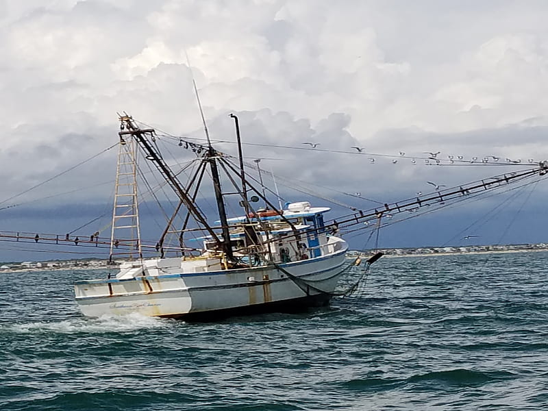 Pesca, barco, océano, Fondo de pantalla HD | Peakpx