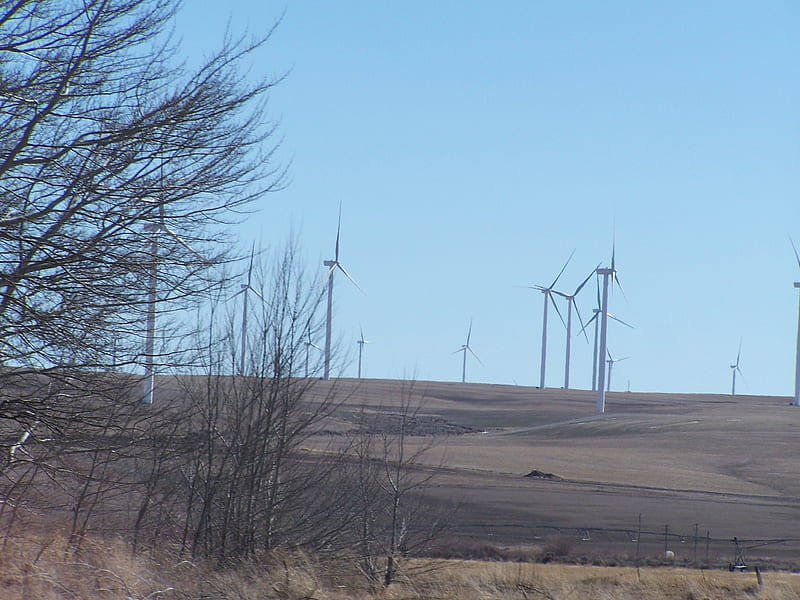 Windfarm, Idaho Falls, Idaho, Farms, Alternative Energy, Technology, Windmills, HD wallpaper