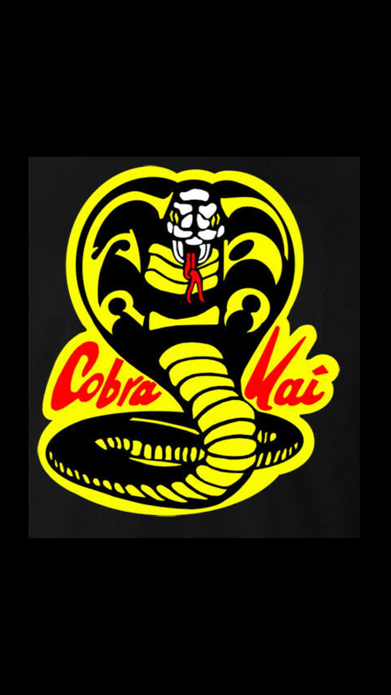 Cobra Kai black karate kid no fear no mercy snake yellow HD phone  wallpaper  Peakpx