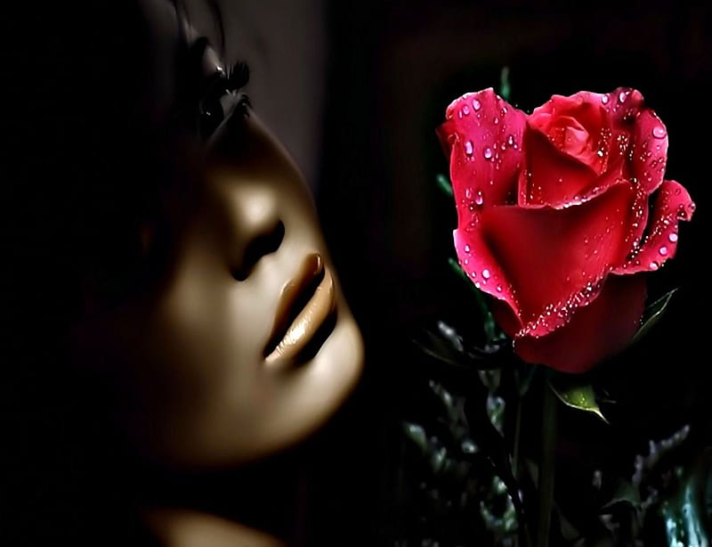 The Red Rose, red, rose, people, the, woman, HD wallpaper | Peakpx