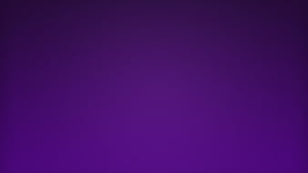 Purple Plain Background Purple, HD wallpaper