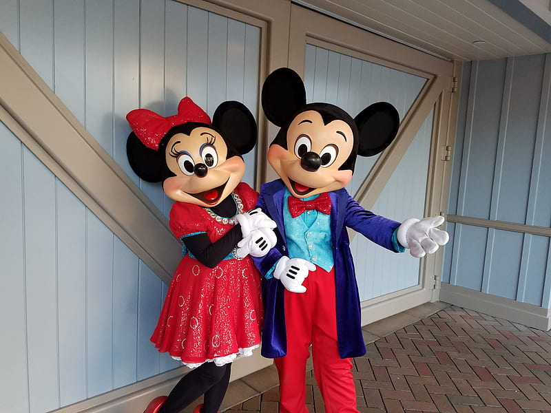 Mickey and minnie, disney land, mickey mouse, minnie mouse, HD wallpaper |  Peakpx