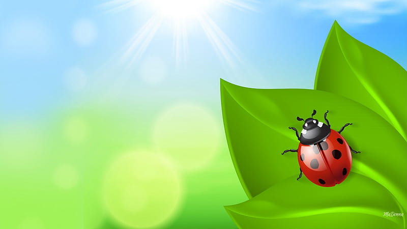 Bright Ladybug Morning, fresh, spring, ladybug, leaves, bokeh, nature, lady bug, sunshine, morning, light, HD wallpaper