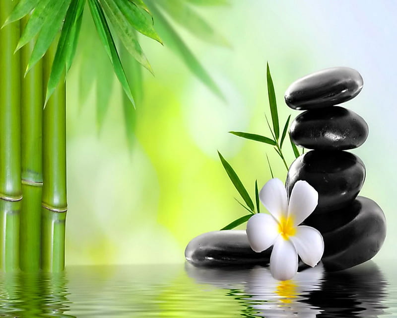 Relaxing Spa, leaves, water, stones, relax, flower, spa, reflection, bamboo, HD wallpaper