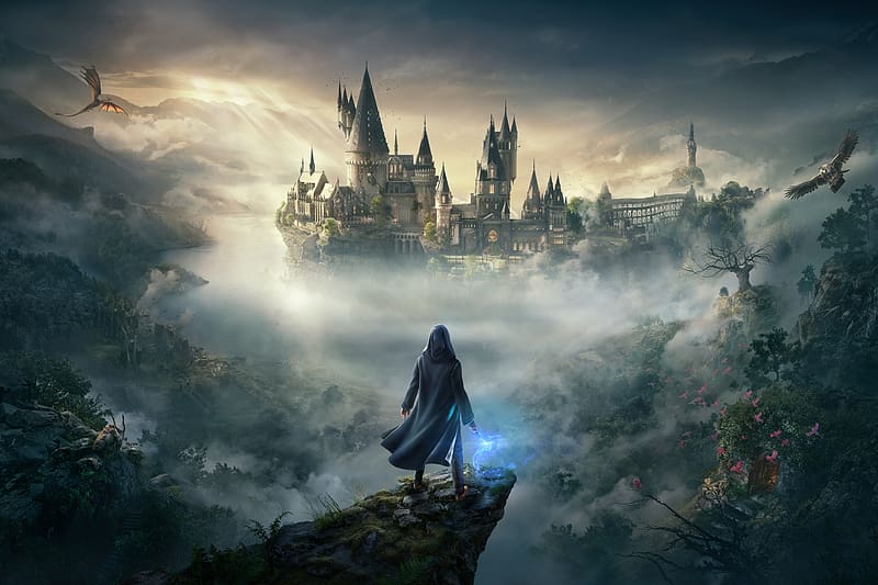 Harry Potter, Video Game, Hogwarts Legacy, HD wallpaper