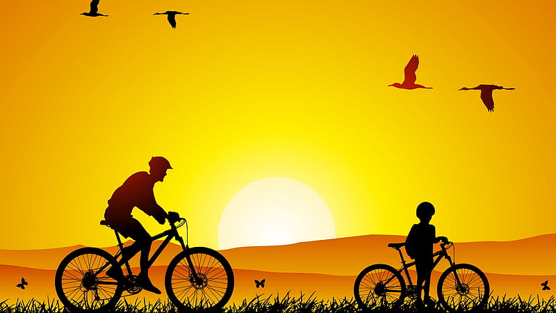 Sunset Ride, exercise, ride, birds, bicycle, sunset, bike, HD wallpaper