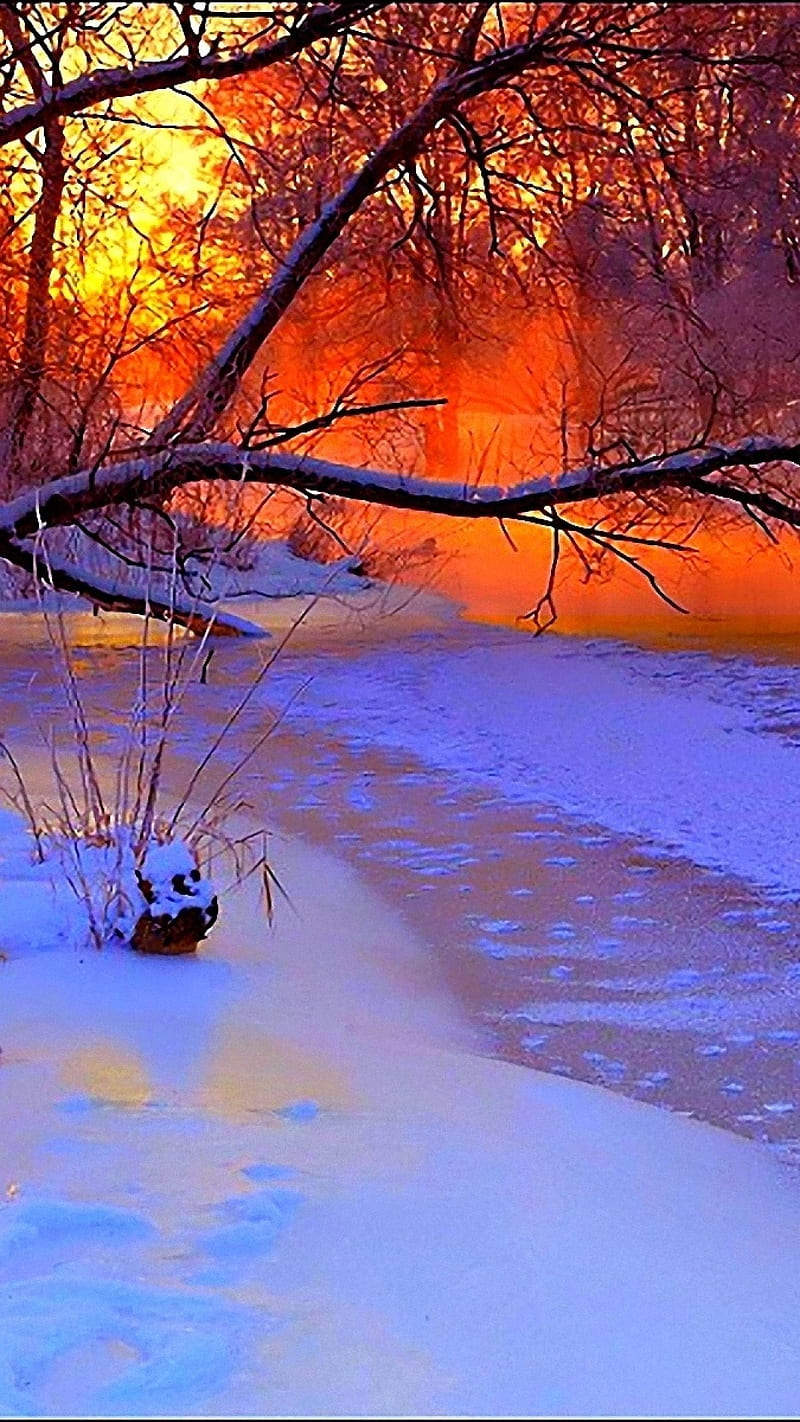 River, trees, sunset, winter wonderland, the whole package all together, Beautiful Winter Wonderland, HD phone wallpaper