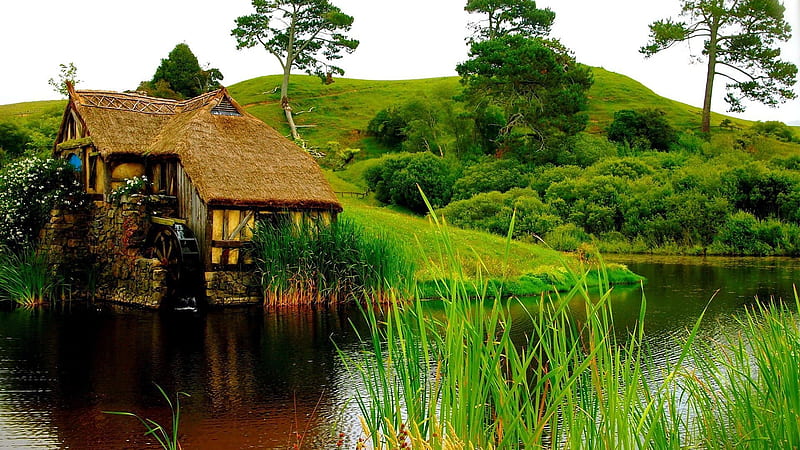 House on the Riverbank, house, greenery, bank, slope, nature, river, cabin, trees, HD wallpaper
