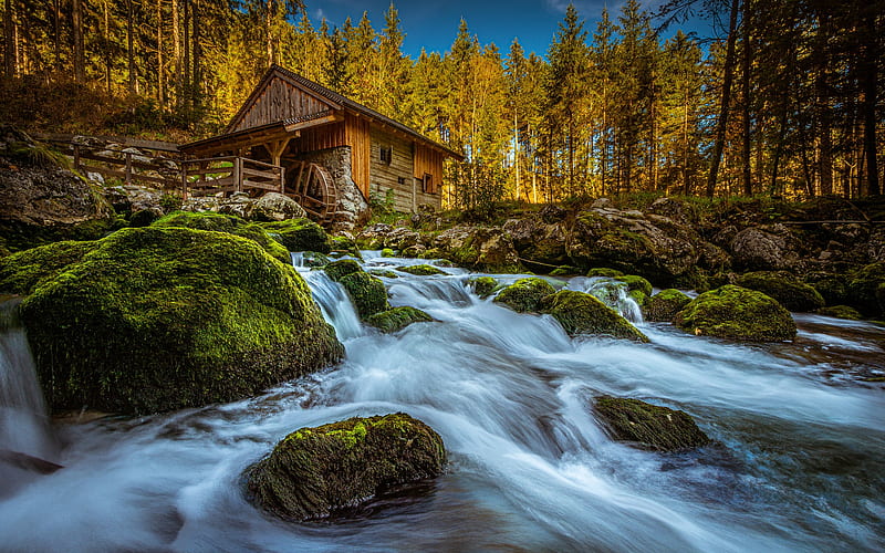 Man Made, Watermill, Austria, Fall, Moss, River, Stone, HD wallpaper