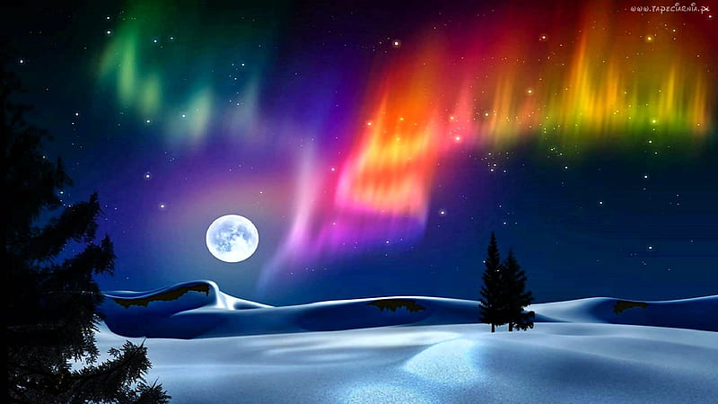 Aurora borealis, arctic, moon, borealis, aurora, HD wallpaper