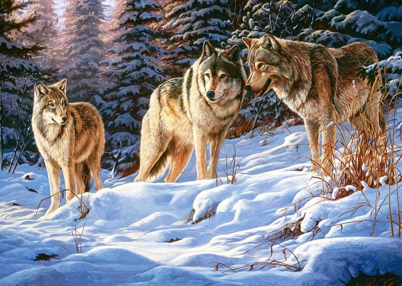 Wolfpack, wilderness, predators, snow, painting, trees, wolves, artwork, HD wallpaper