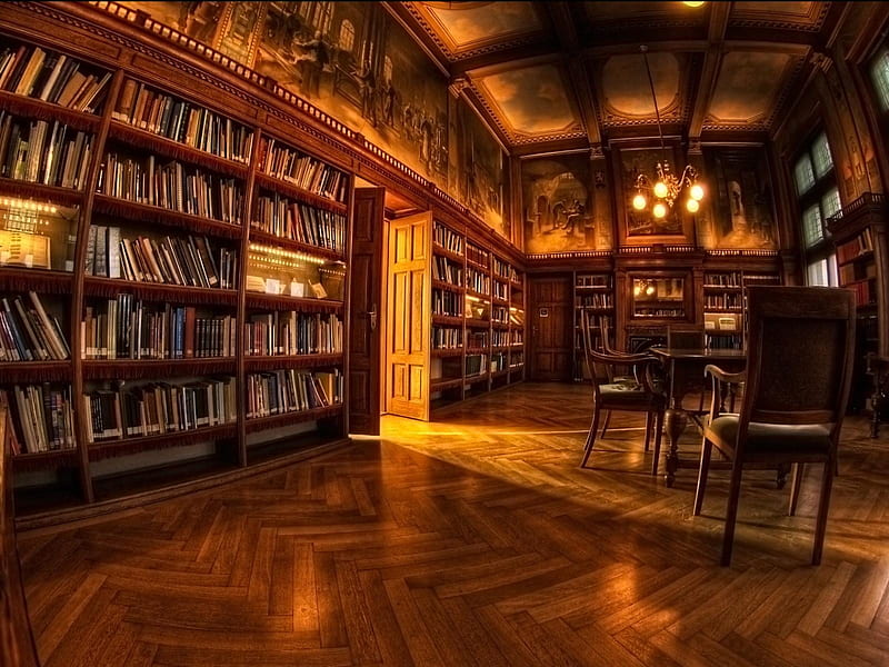 Library Interior, book shelves, read, study, ancient, manuscript, books, book, interior, studying, book shelf, reading, library, HD wallpaper