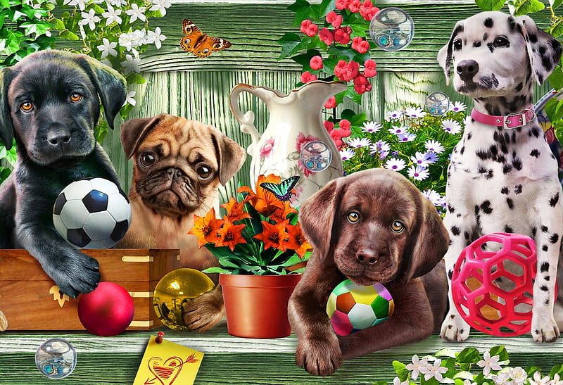 Puppies, luminos, caine, animal, cute, pet, ball, summer, flower, garden, puppy, dog, HD wallpaper