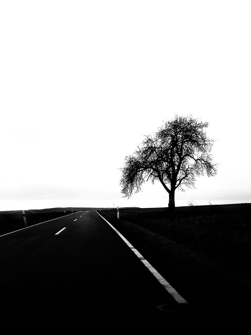 road, tree, bw, minimalism, landscape, HD phone wallpaper