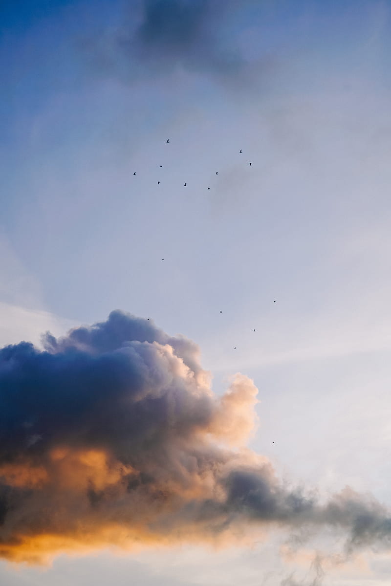 sky, clouds, birds, flock, HD phone wallpaper