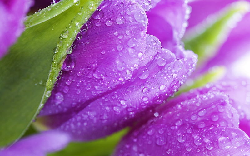 🔥sold🔥These purple rain shades are so special! Purple Rain