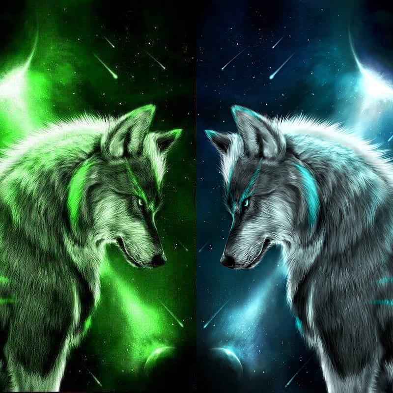 Wallpaper Two wolves, family 1920x1200 HD Picture, Image