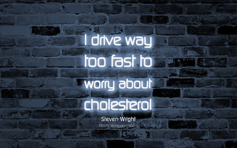 I drive way too fast to worry about cholesterol gray brick wall, Steven Wright, popular quotes, neon text, inspiration, quotes about life, HD wallpaper