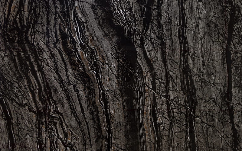black wooden texture, macro, wooden backgrounds, close-up, wooden textures, black backgrounds, brown wood, black wooden background, HD wallpaper