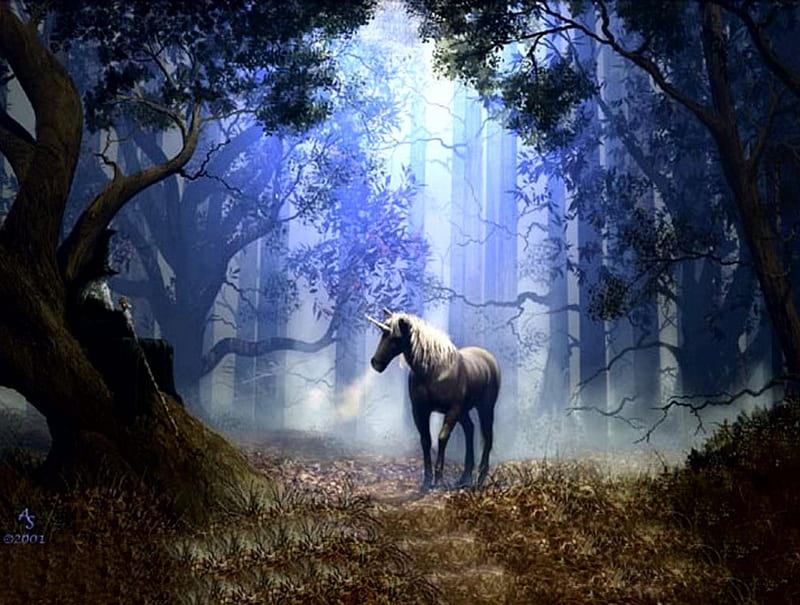 Fantasy horse, forest, tree, horse, unicorn, HD wallpaper | Peakpx