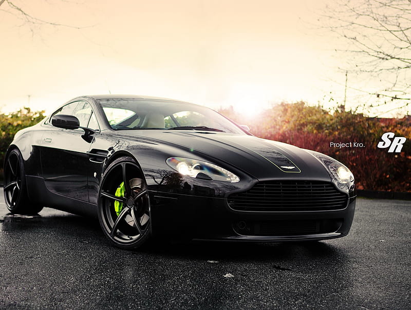 Aston Martin, car, carros, fast, race, road, speed, wheel, wheels, HD wallpaper