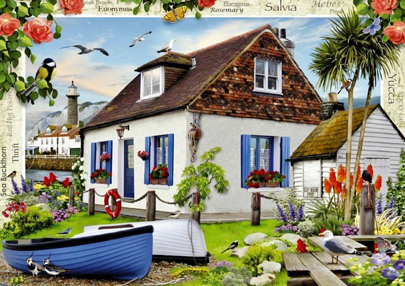 FISHERMAN'S COTTAGE, cottages, houses, homes, sea, seabirds, boats, flowers, gardens, artworks, HD wallpaper