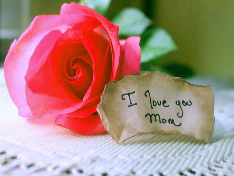 I love you Mom, message, Mothers day, rose, love, HD wallpaper