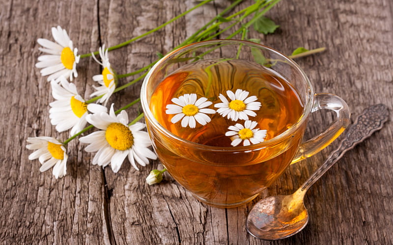 tea with chamomile, glass cup, daisy petals, cup of tea, HD wallpaper