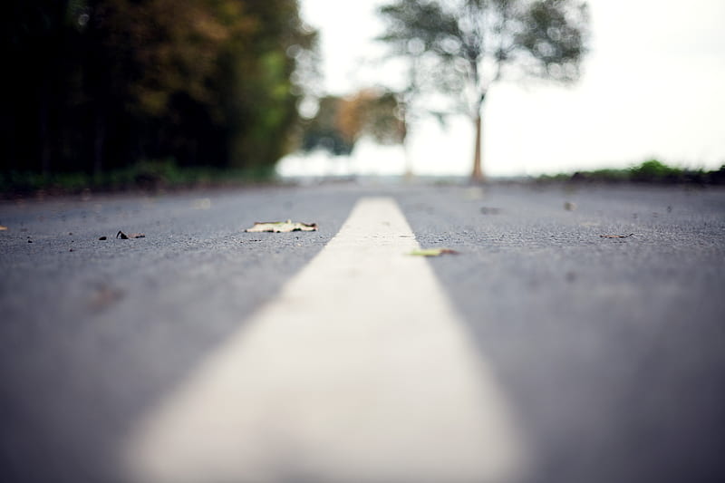 closeup graphy of middle of the road, HD wallpaper