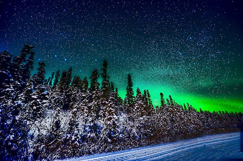 Northern Lights near Fairbanks, Alaska, stars, snow, colors, trees, sky, HD wallpaper