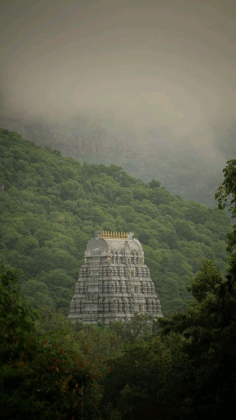 Tirupati Balaji Temple, tirupati balaji, temple, mandir, mountains background, greenery, lord, god, HD phone wallpaper
