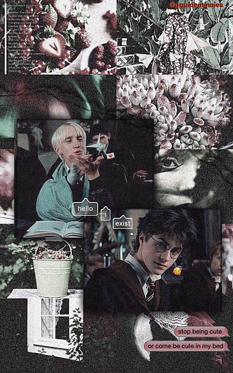 HD drarry as an anime wallpapers | Peakpx