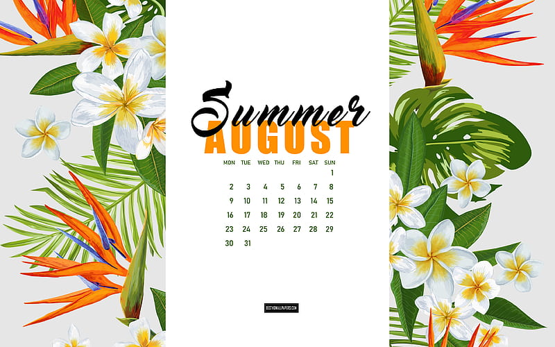 August 2021 Calendar, tropical flowers, August, 2021 summer calendars, summer background, 2021 August Calendar, calendar with flowers, HD wallpaper