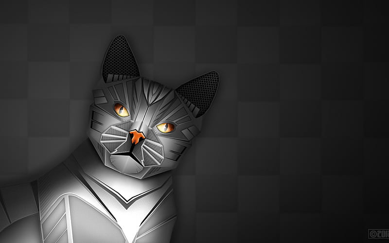 Fantasy cat, fantasy, luminos, orange, black, white, cat, pisica, HD wallpaper