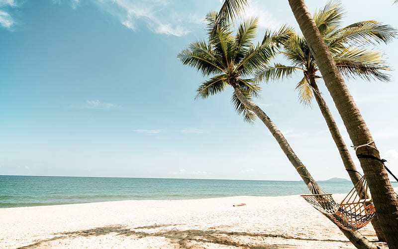 tropical islands, beach, palms, hammock, ocean, sand, wind, HD wallpaper