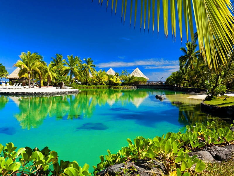 Alluring Bora Bora, shore, breeze, clouds, mirrored, palm trees, beach, nice, tropics, reflection, rest, lovely, holiday, ocean, relax, wind, sky, palms, crystal, inviting, vlear, bonito, sea, bora bora, green, alluring, vacation, exotic, emerald, waters, pleasant, attractive, island, tropical, HD wallpaper