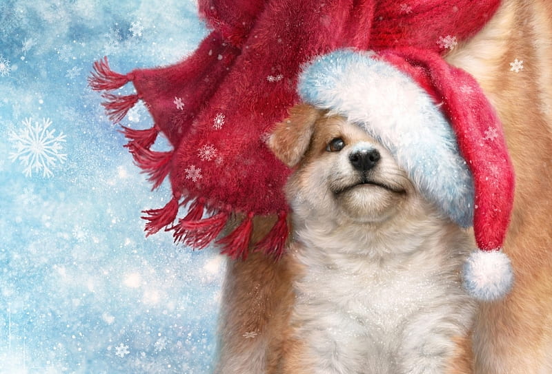 Christmas puppy, red, alenaekaterinburg, luminos, craciun, christmas ...