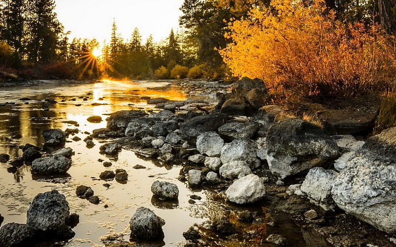 Rocky river, Fall, Rock, Sky, River, Tree, Autumn, Nature, HD wallpaper