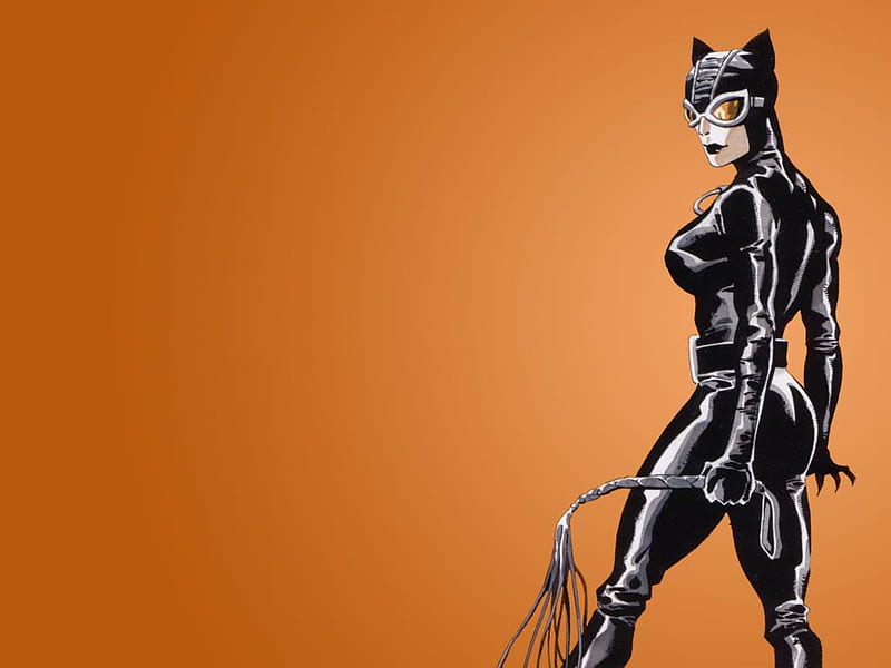 Cat Woman, expert burglar, whip, batman family, selina kyle, HD wallpaper |  Peakpx